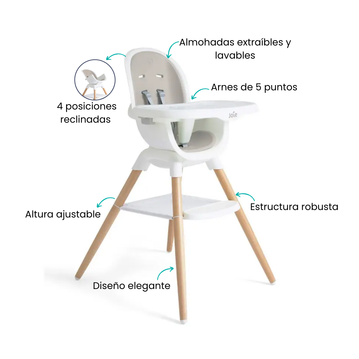 Características