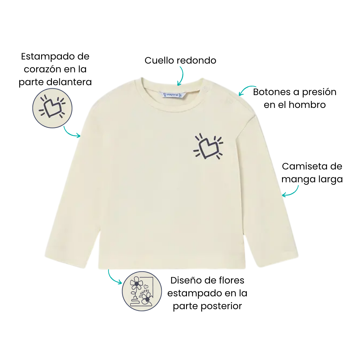Características