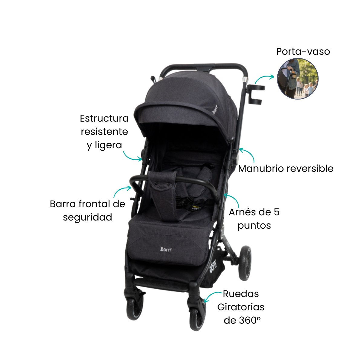 Características