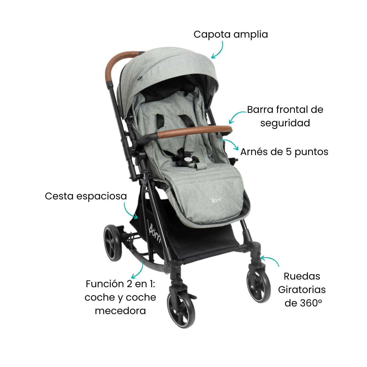 Características