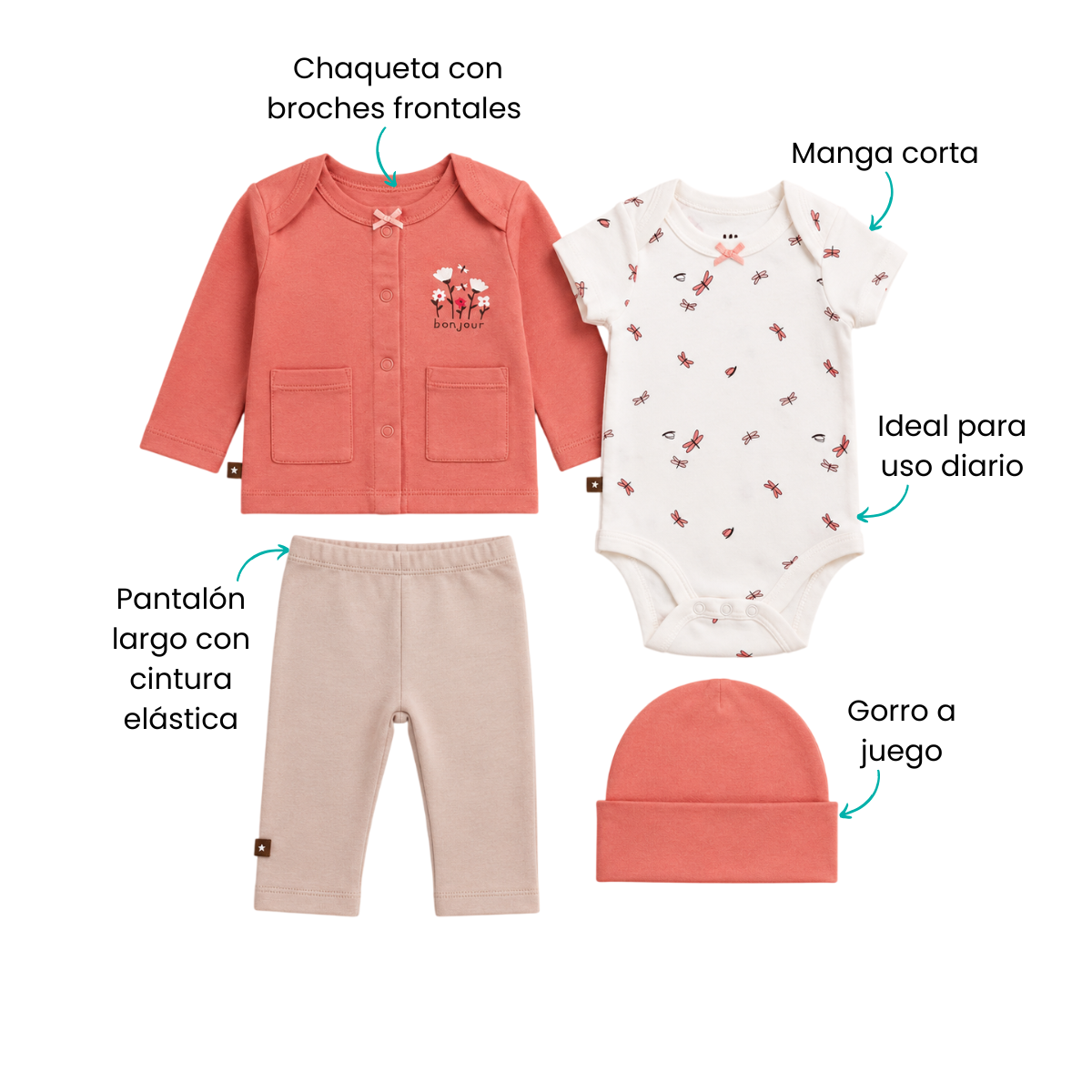 Características