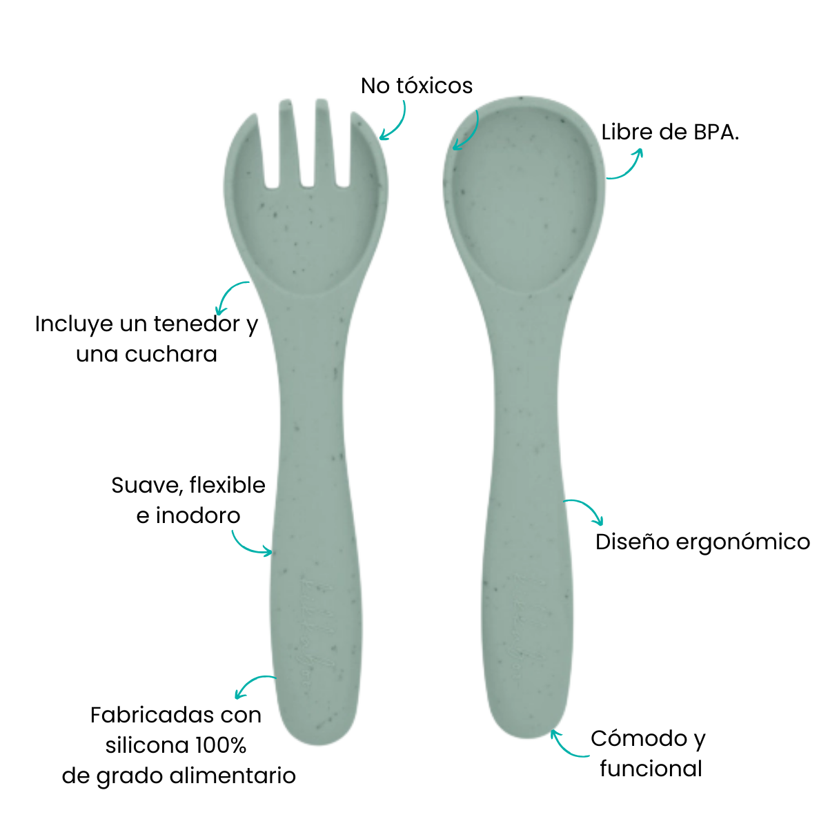 Características