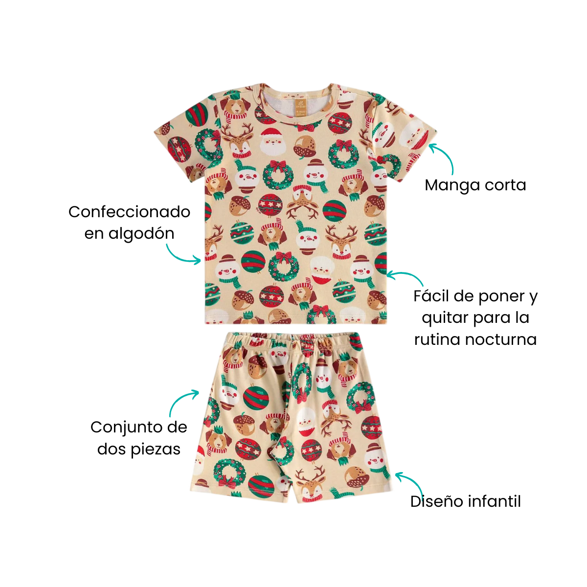 Características