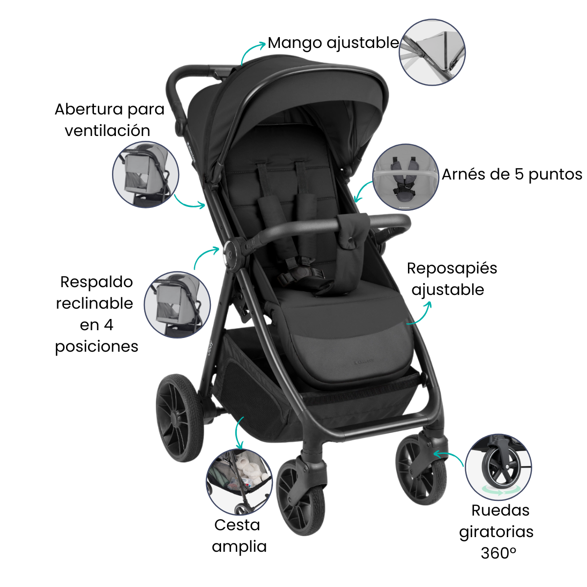 Características