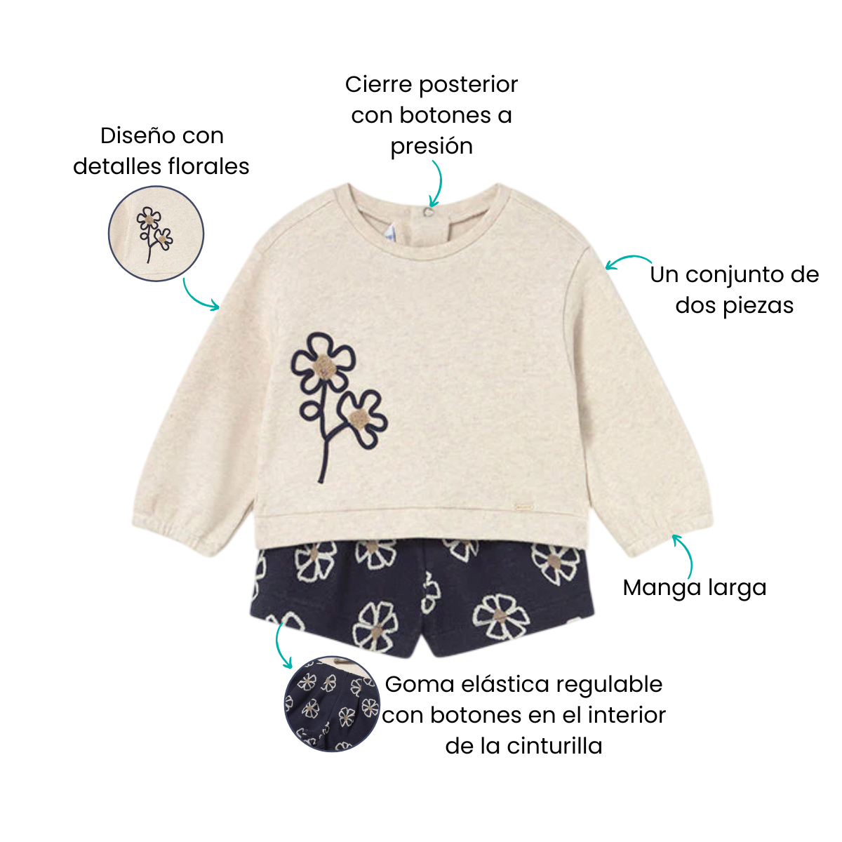 Características