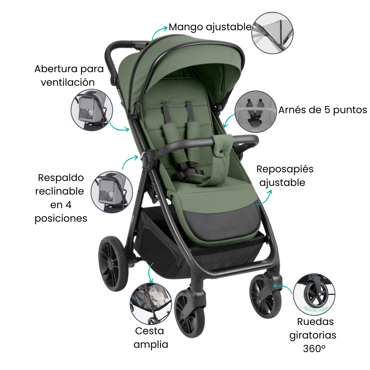 Características