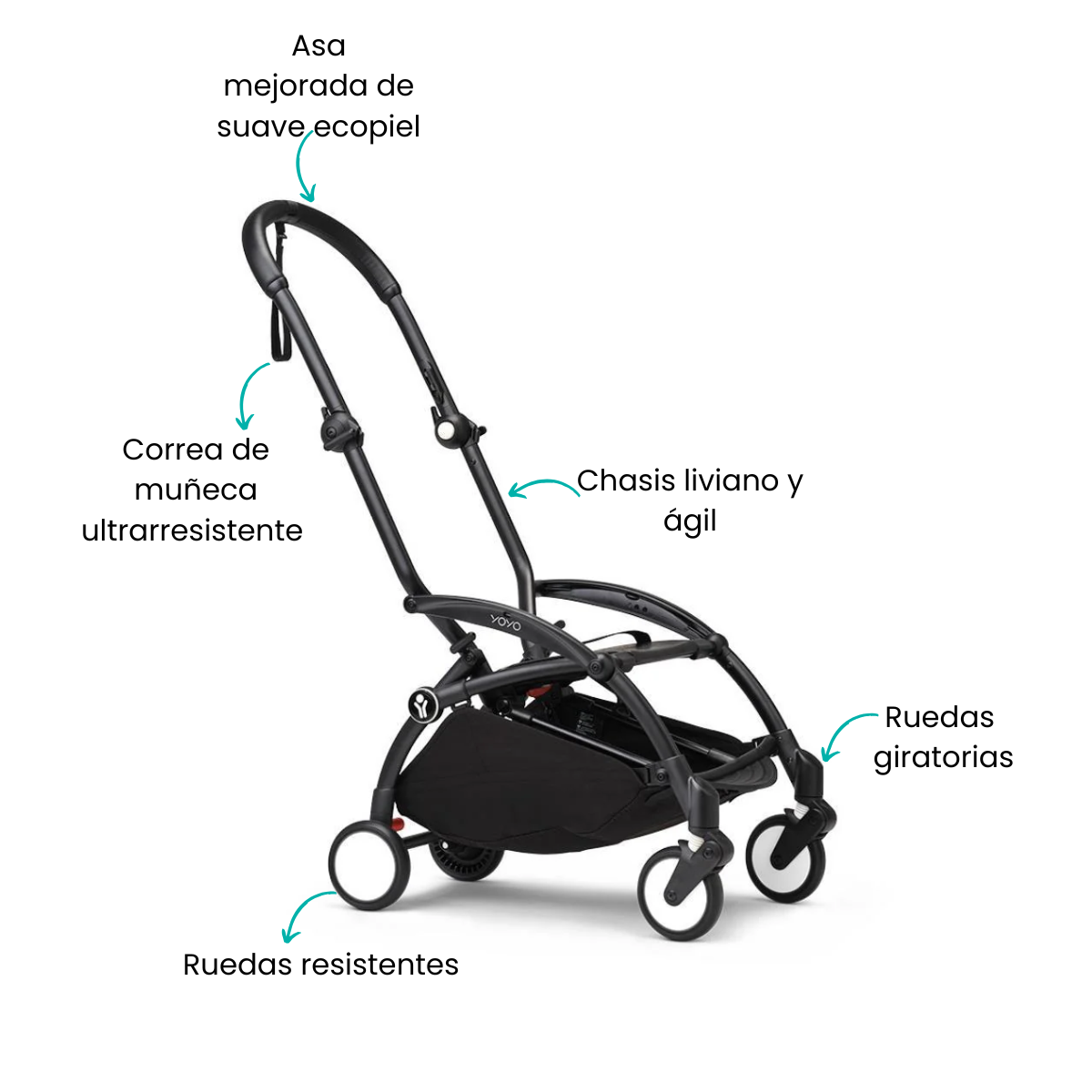Características