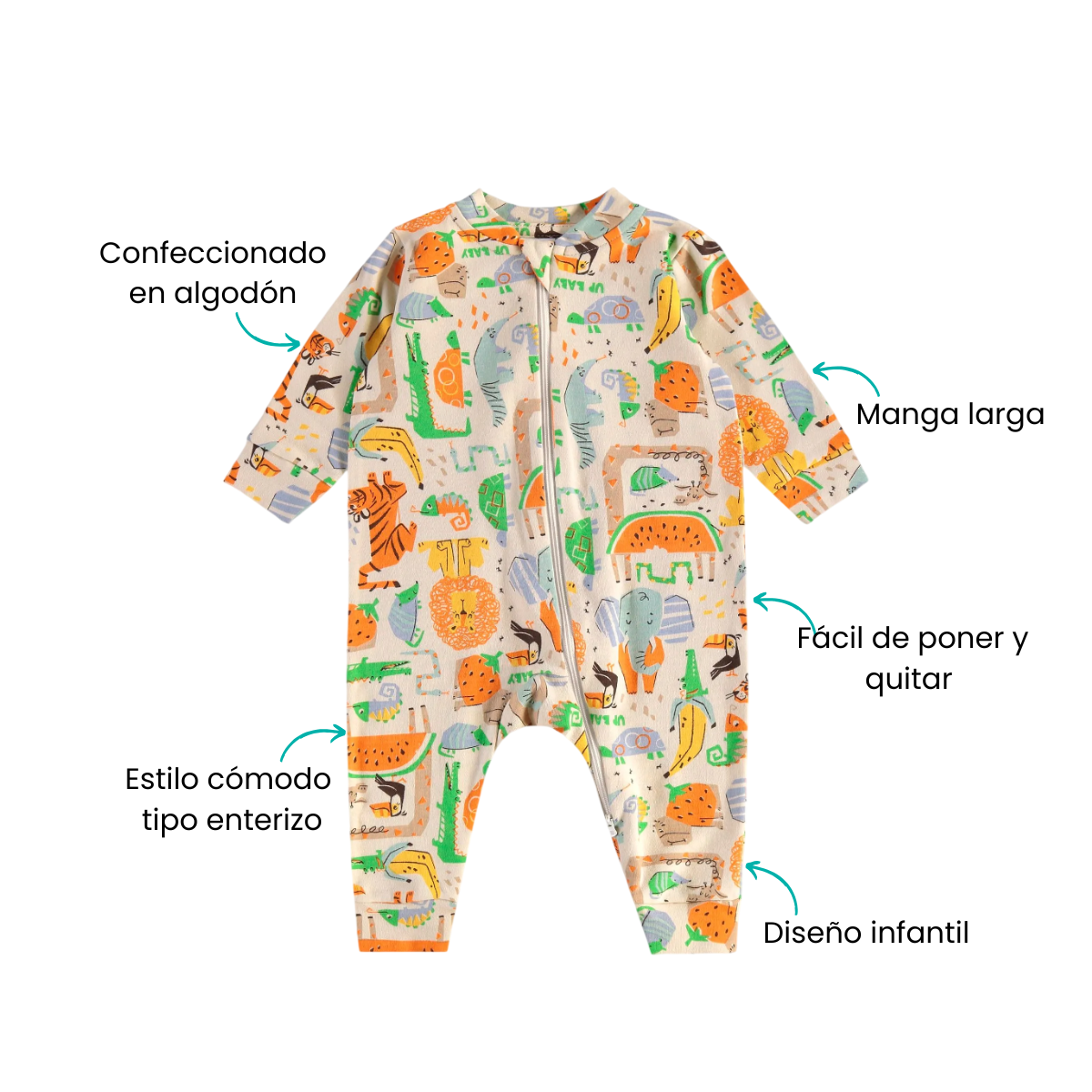 Características