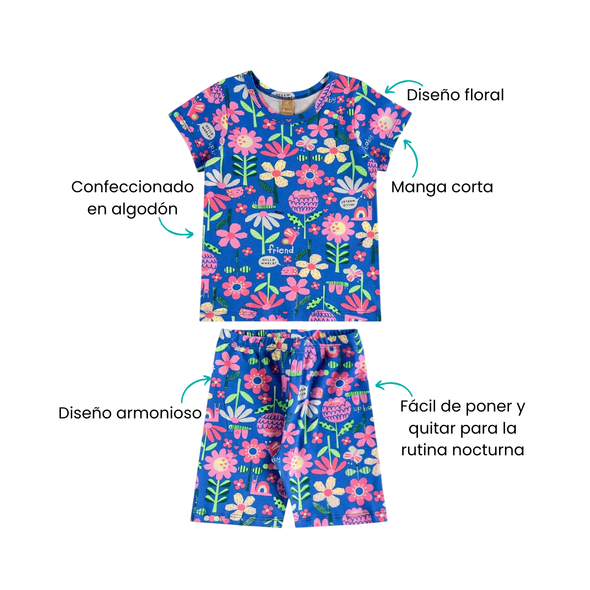 Características