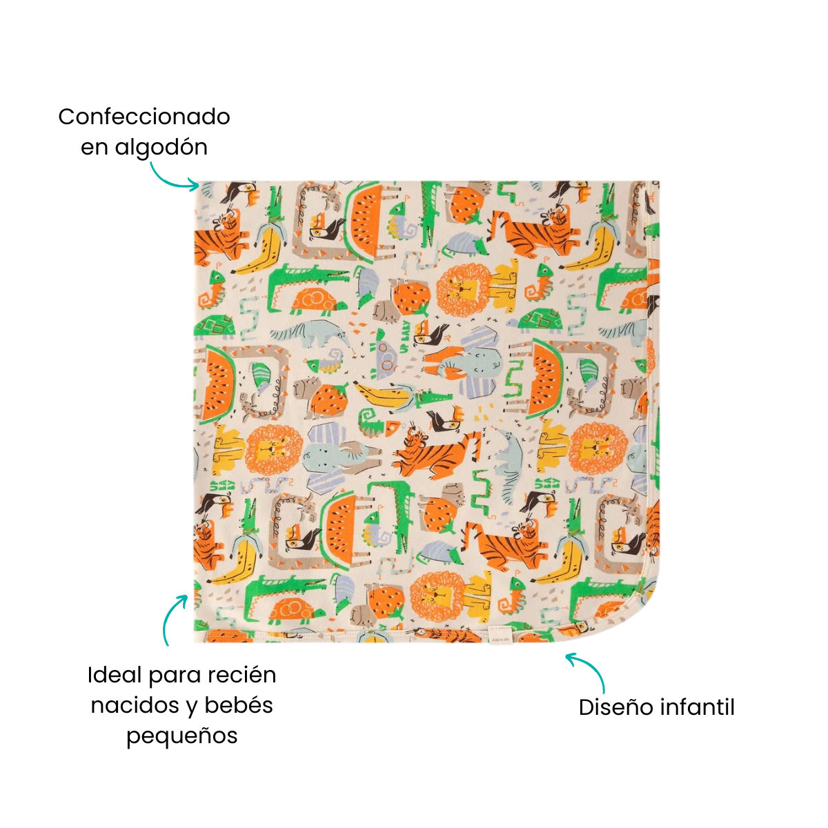 Características