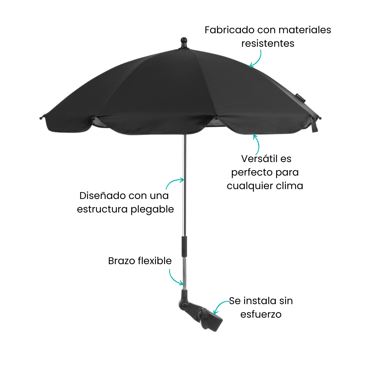Características