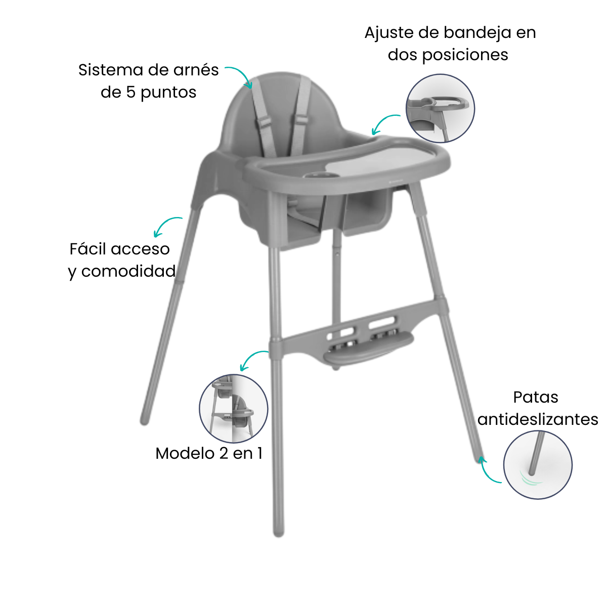 Características