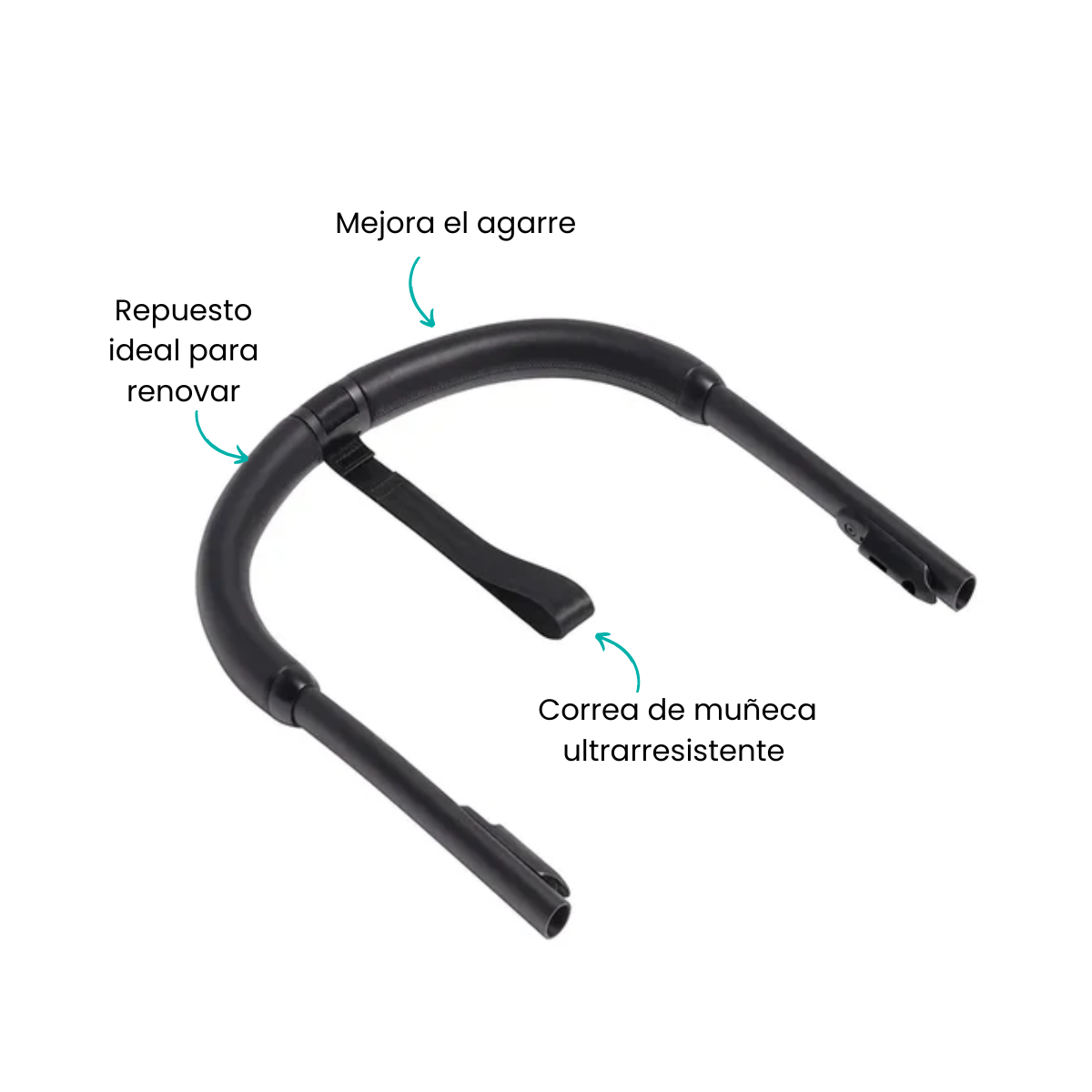 Características
