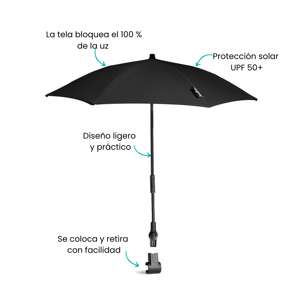 Características