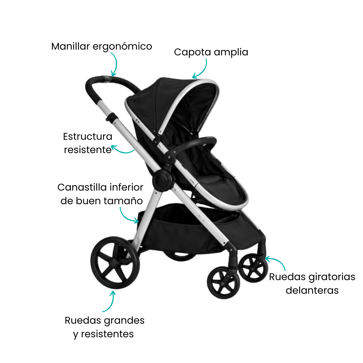 Características