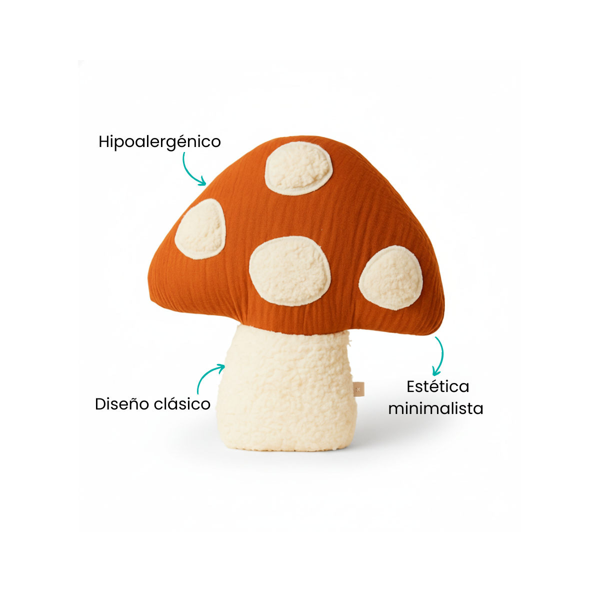 Características