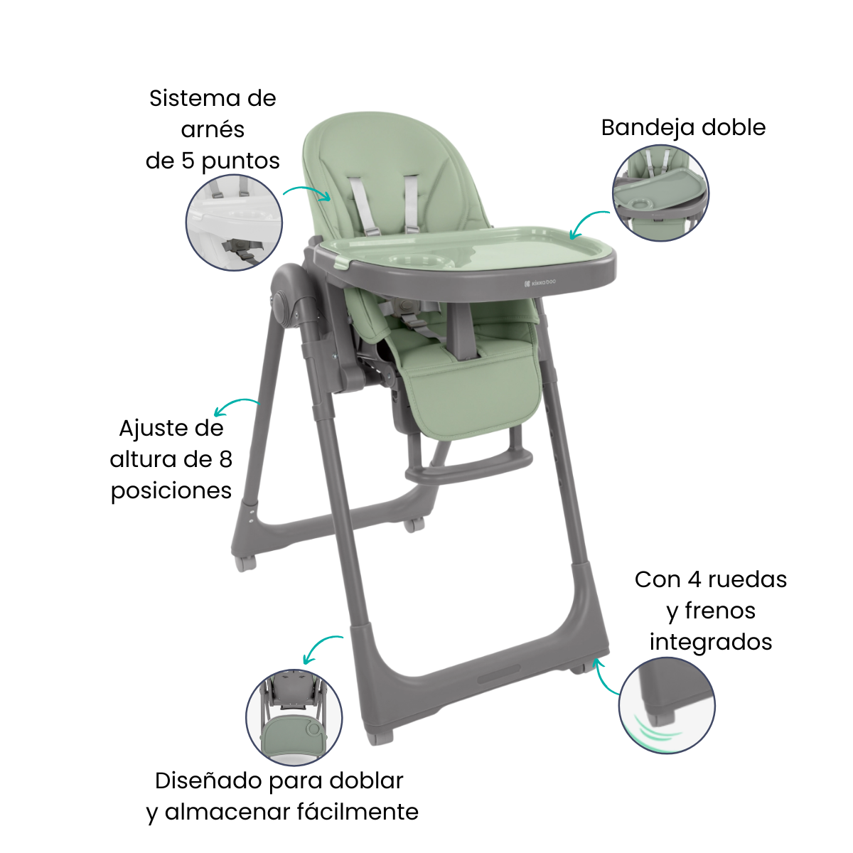 Características