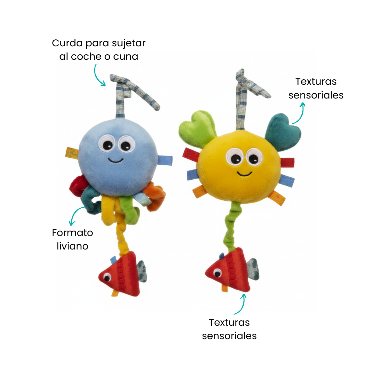 Características