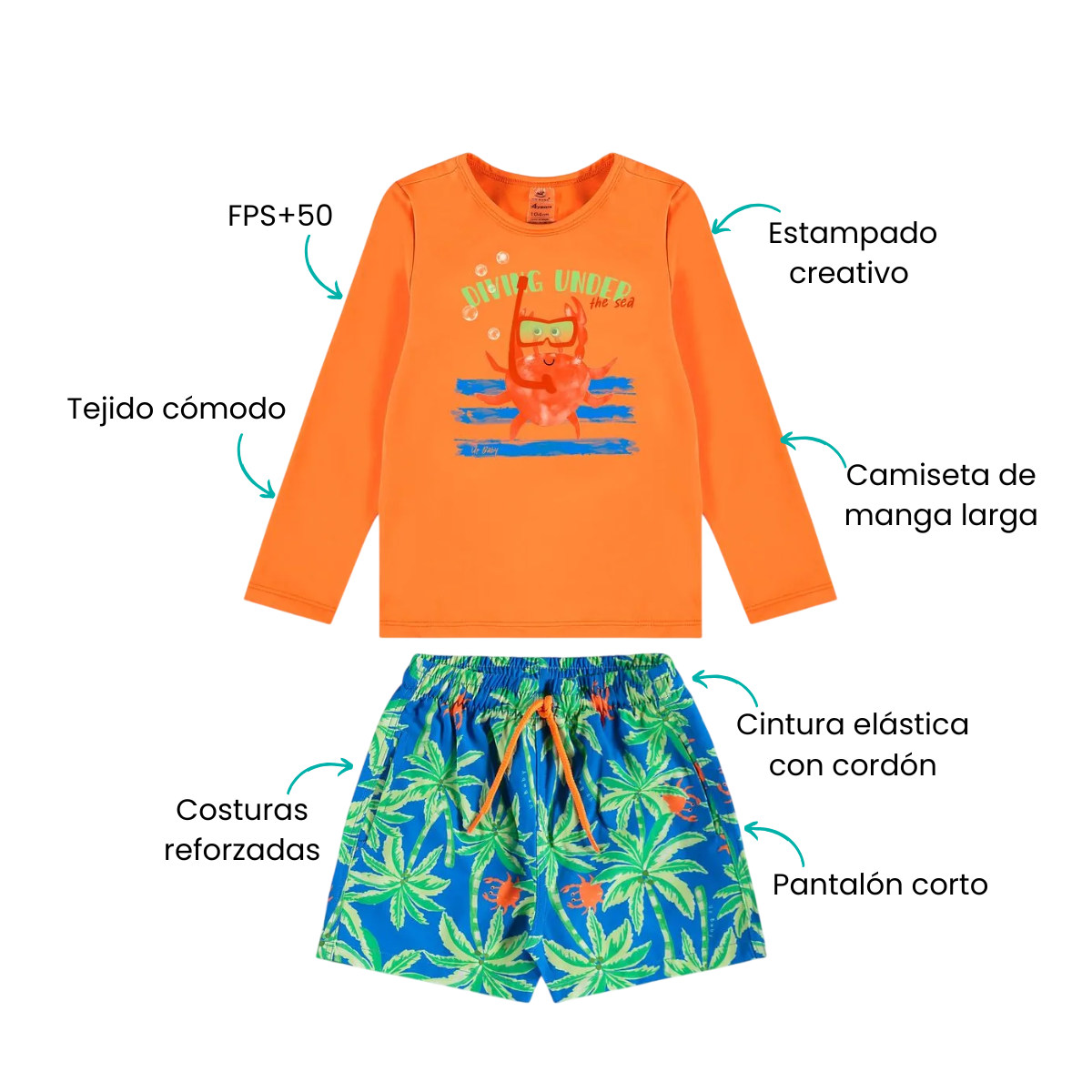 Características