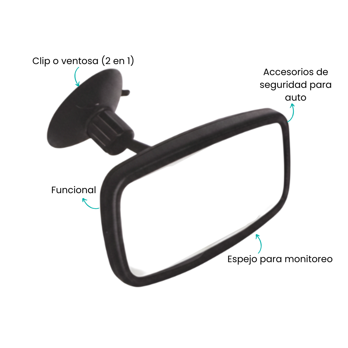 Características