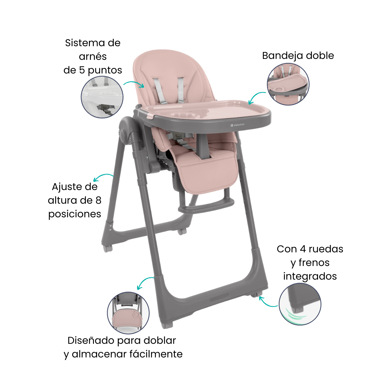 Características