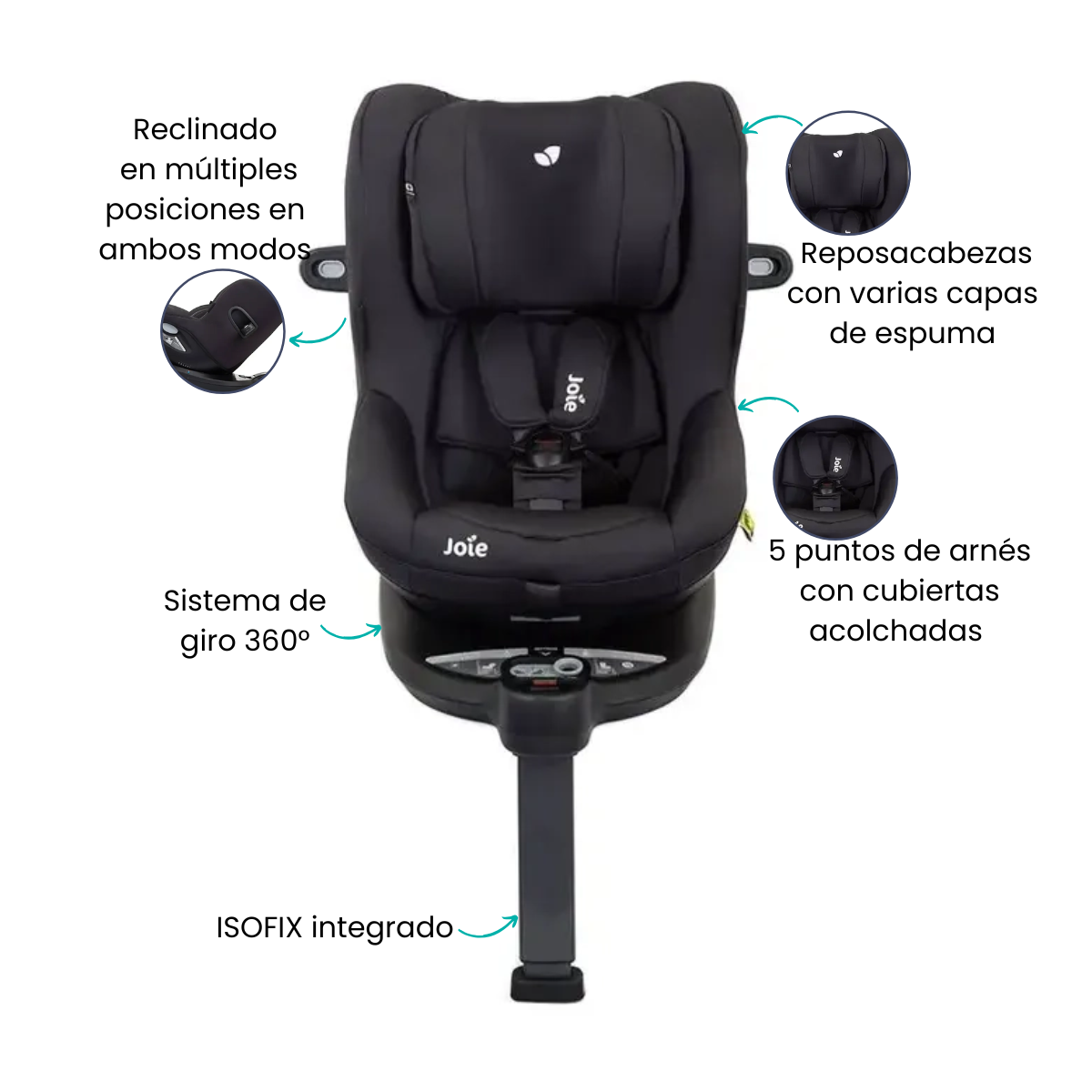 Características