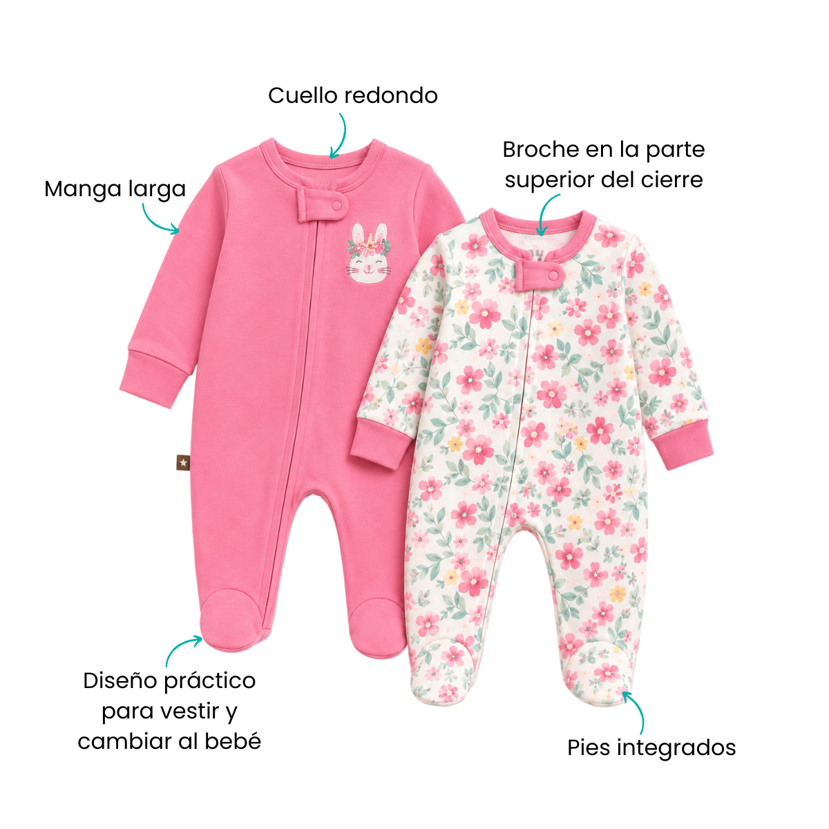 Características