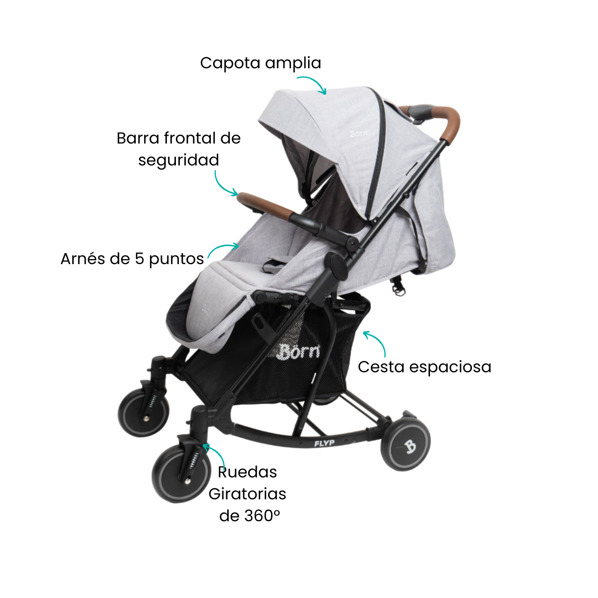 Características