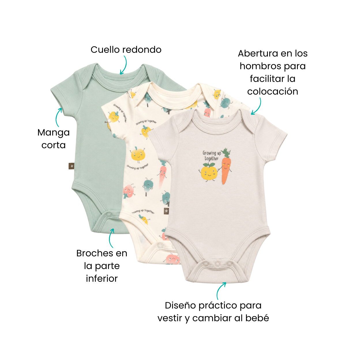 Características