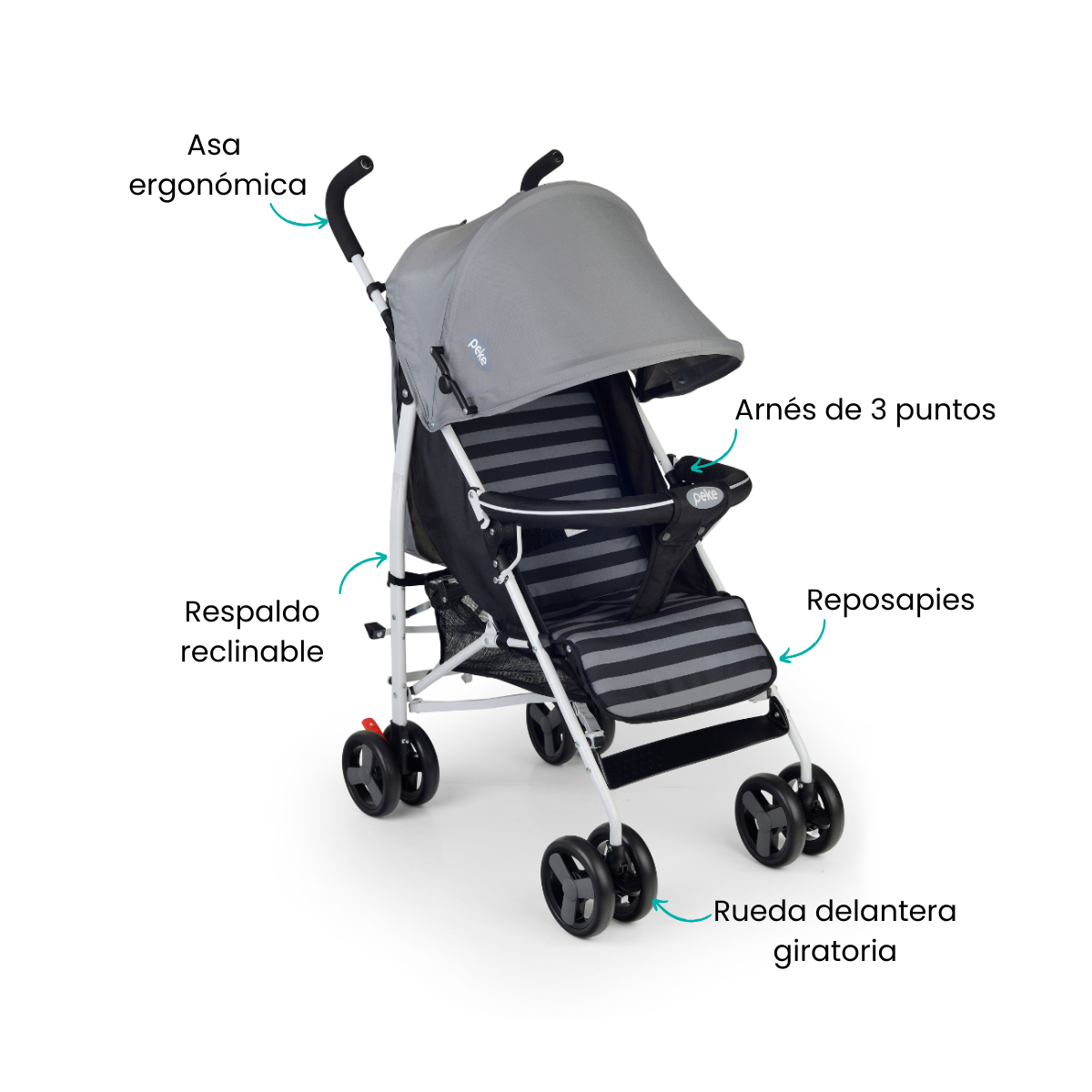Características