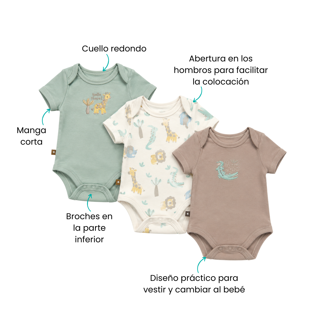 Características