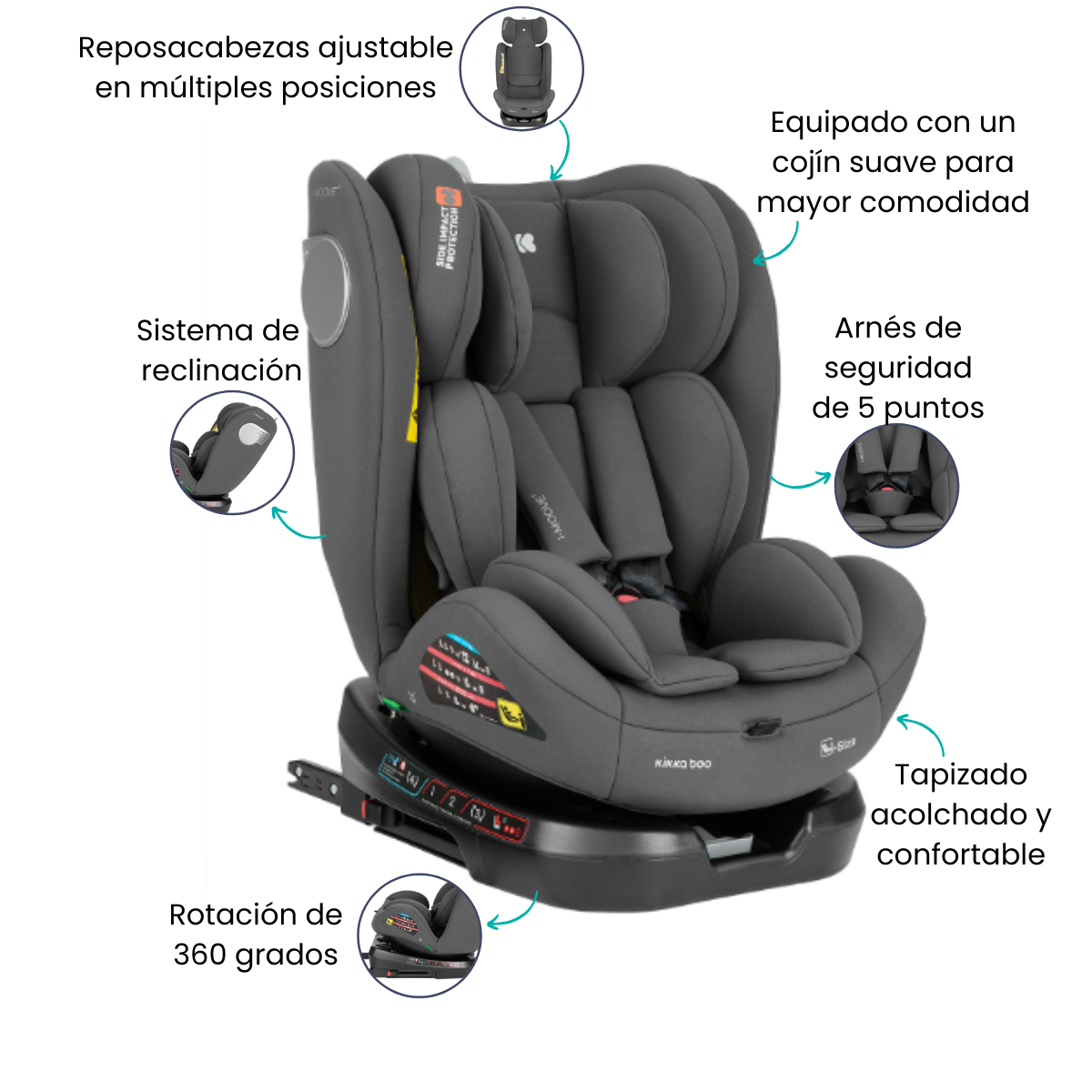 Características
