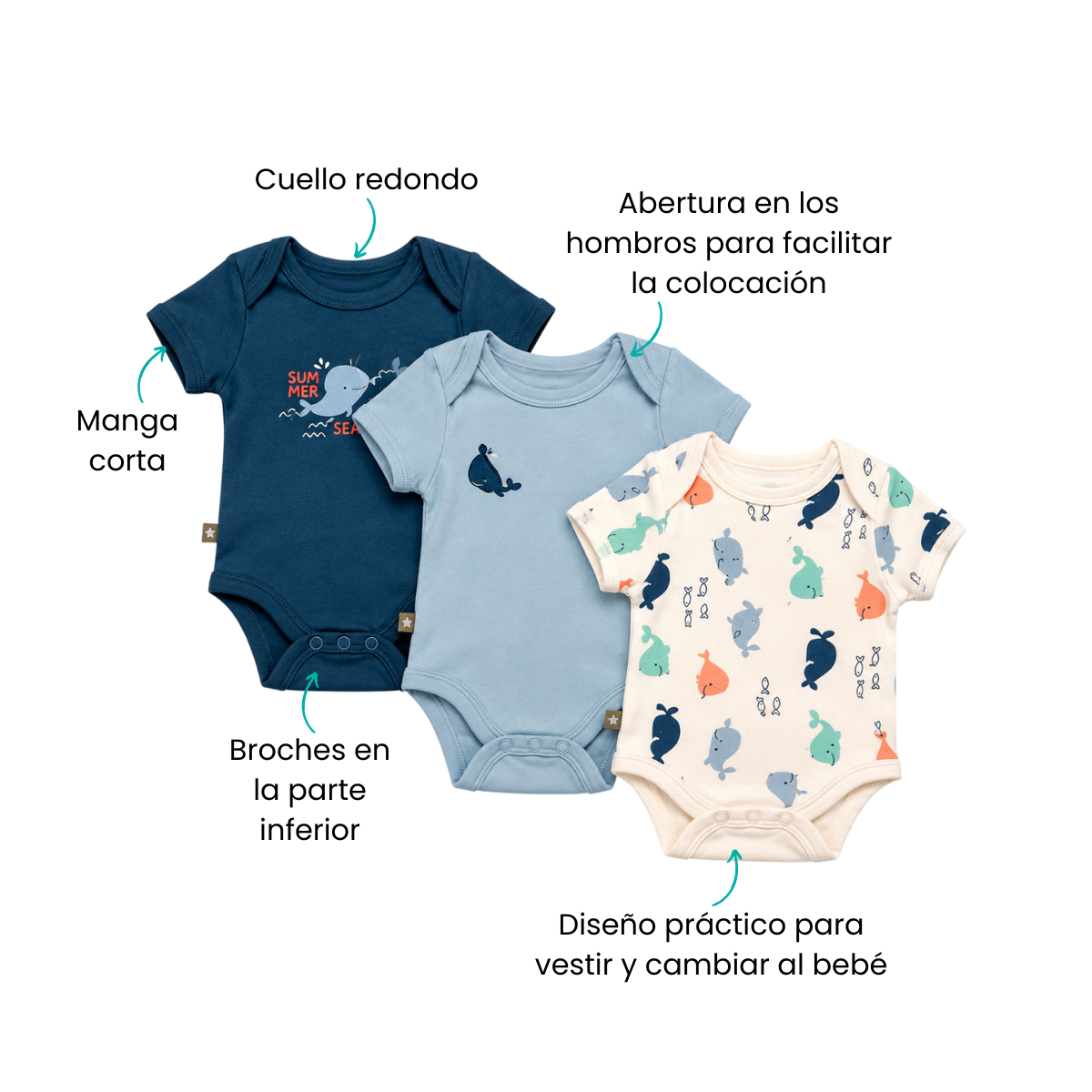 Características
