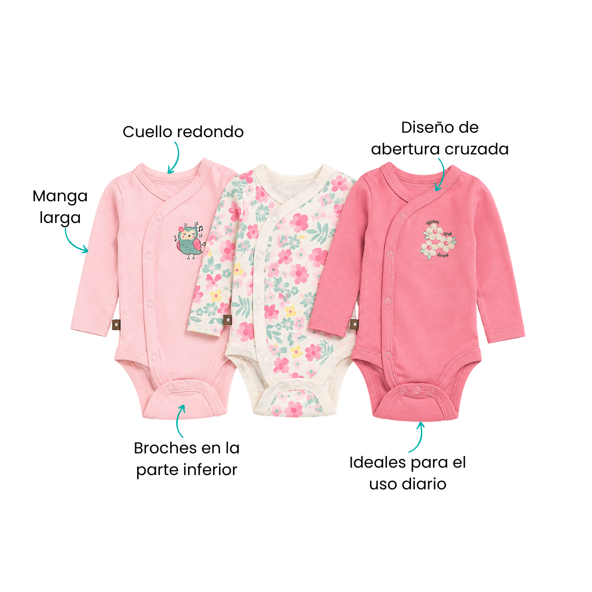 Características