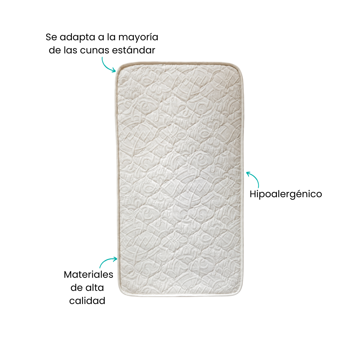 Características
