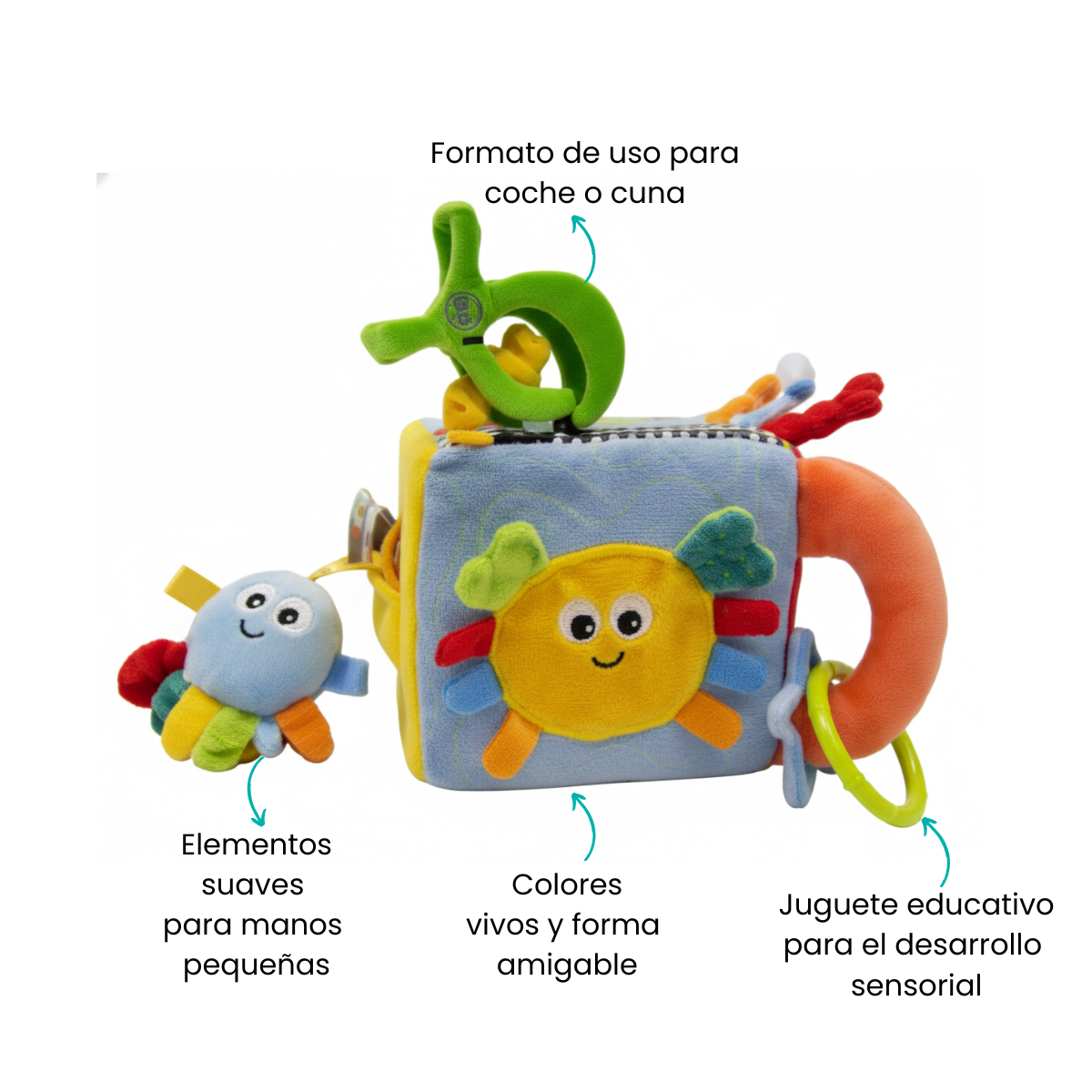 Características