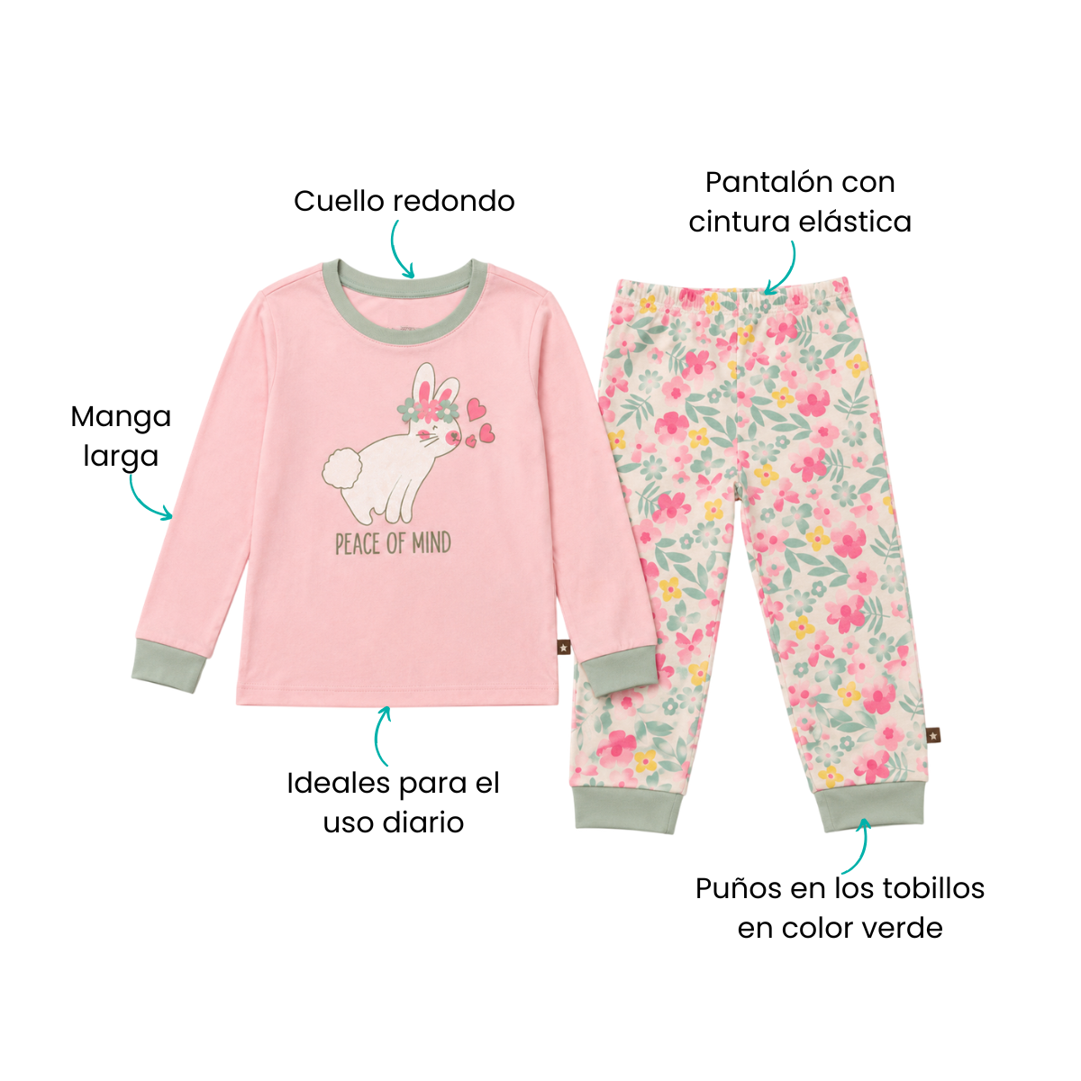Características