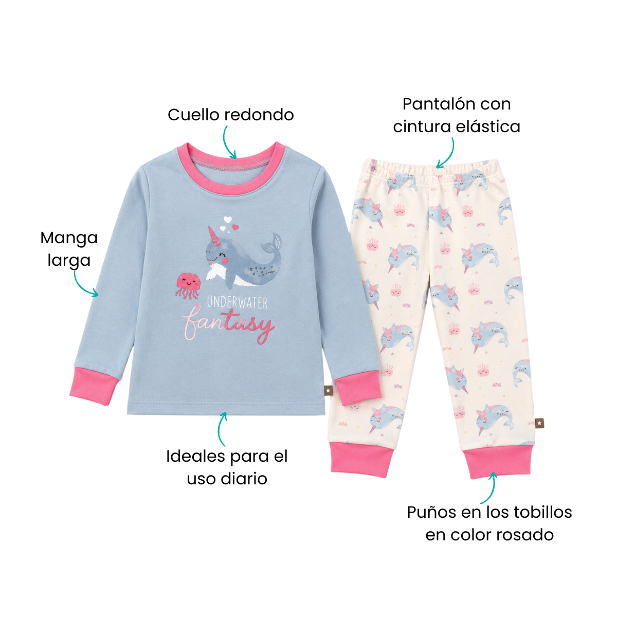 Características