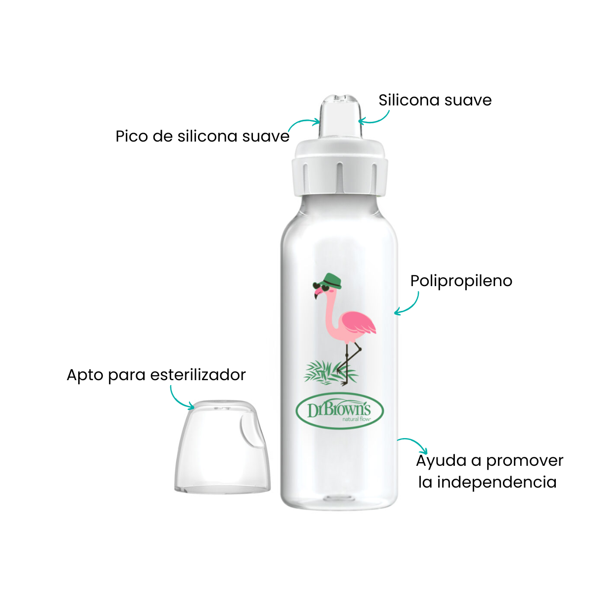 Características