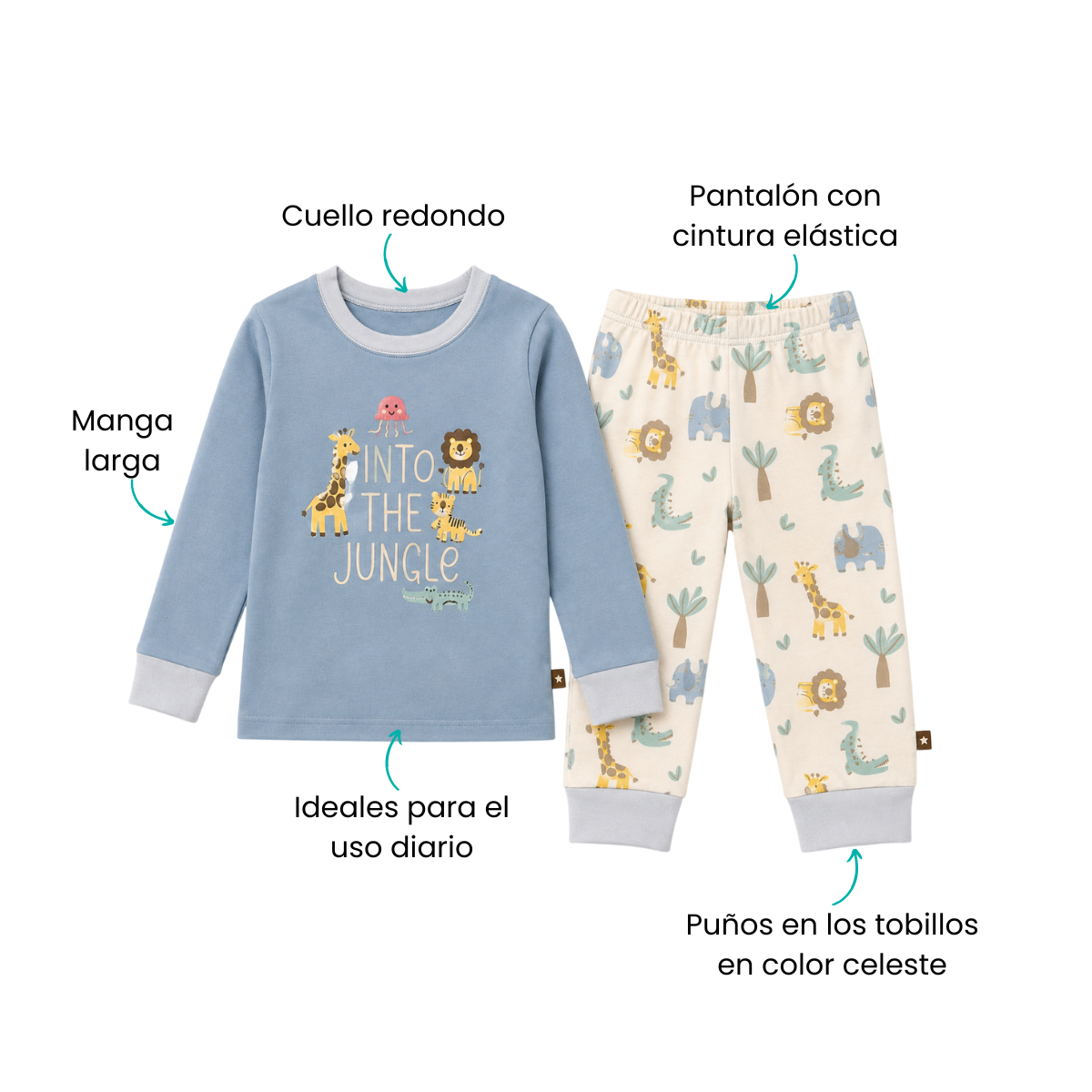 Características