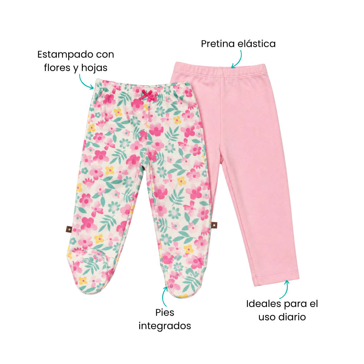 Características