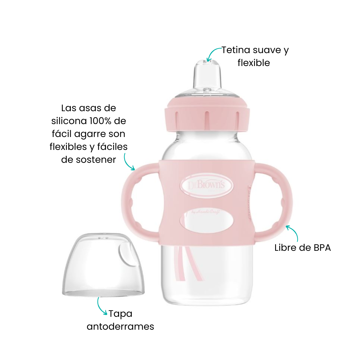 Características