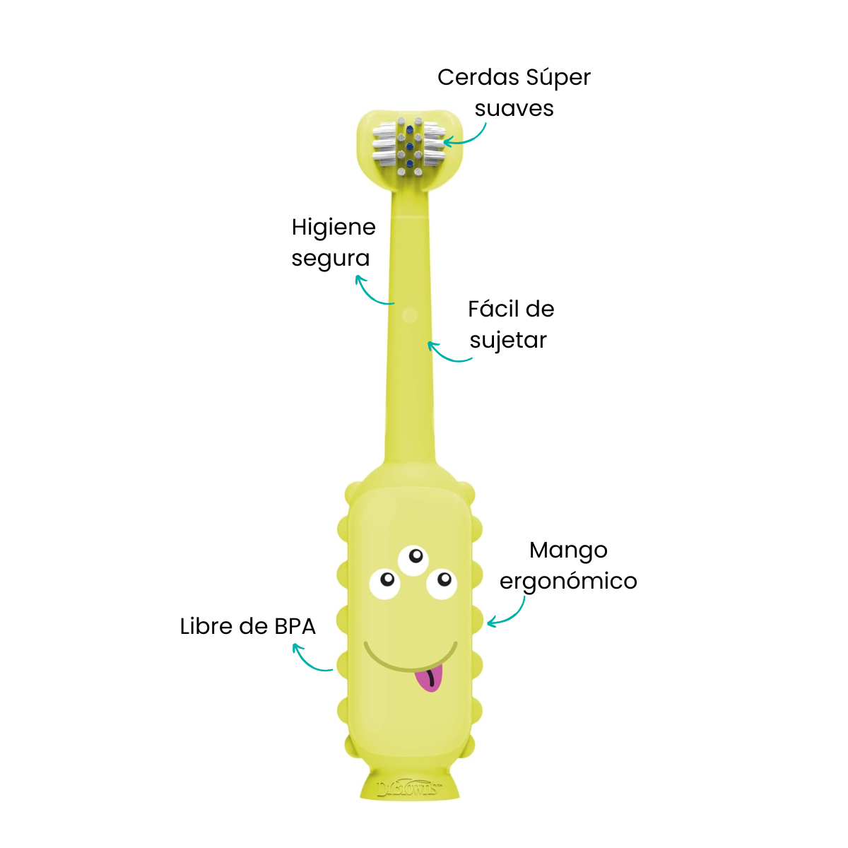 Características