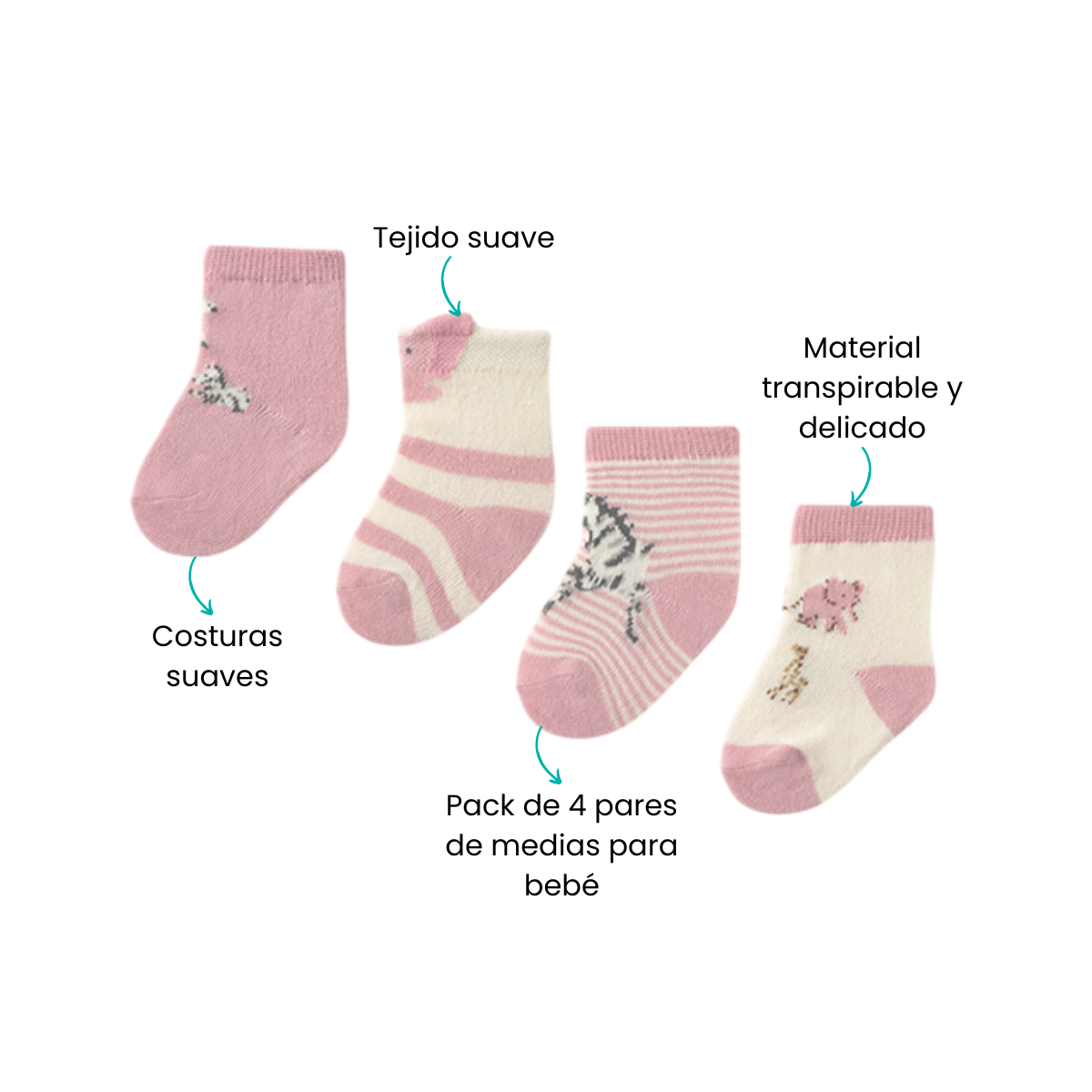 Características