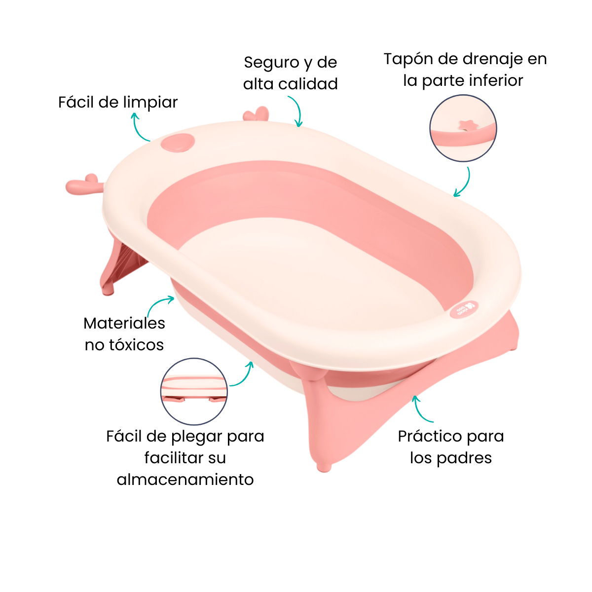 Características