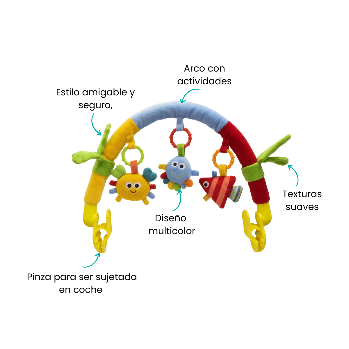 Características