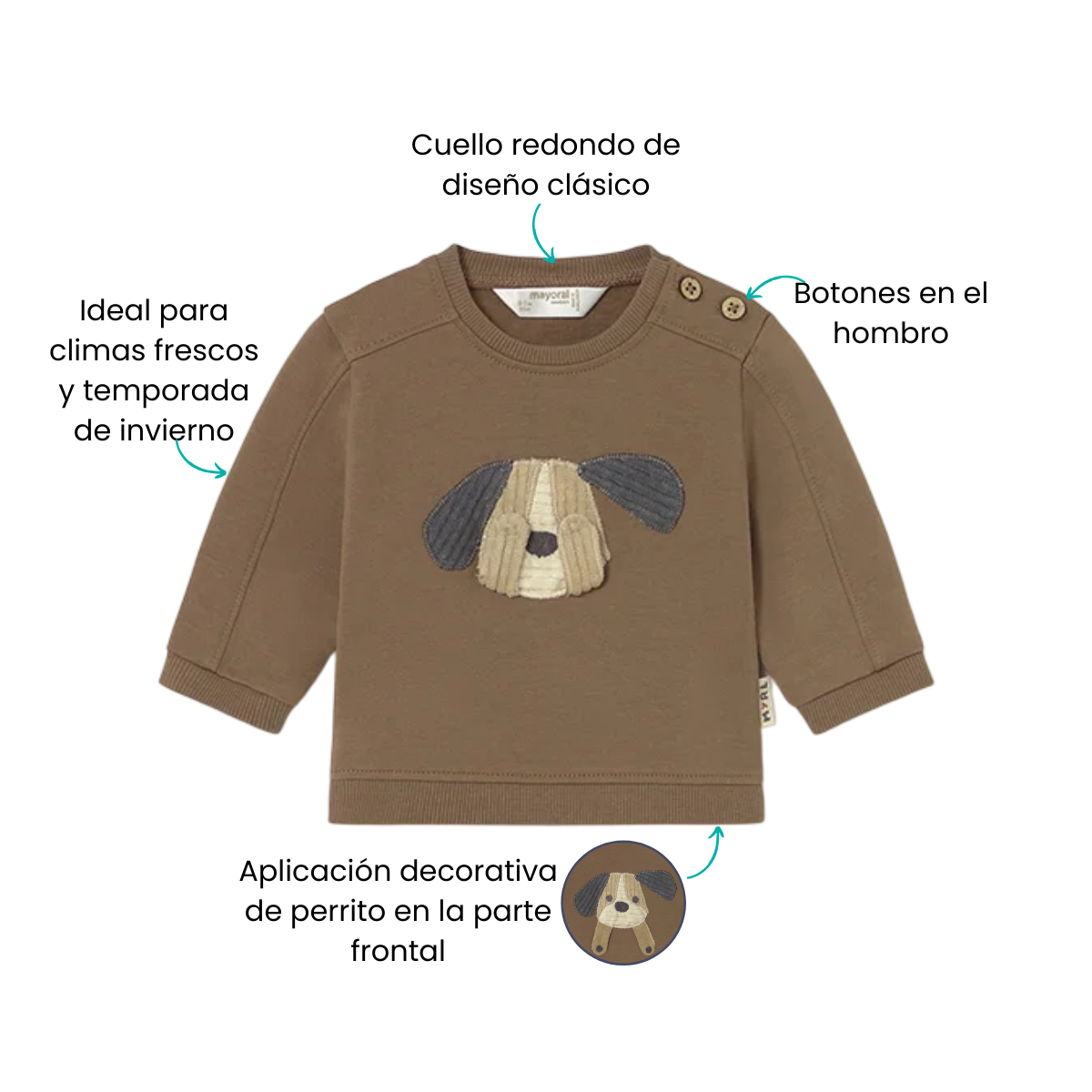 Características