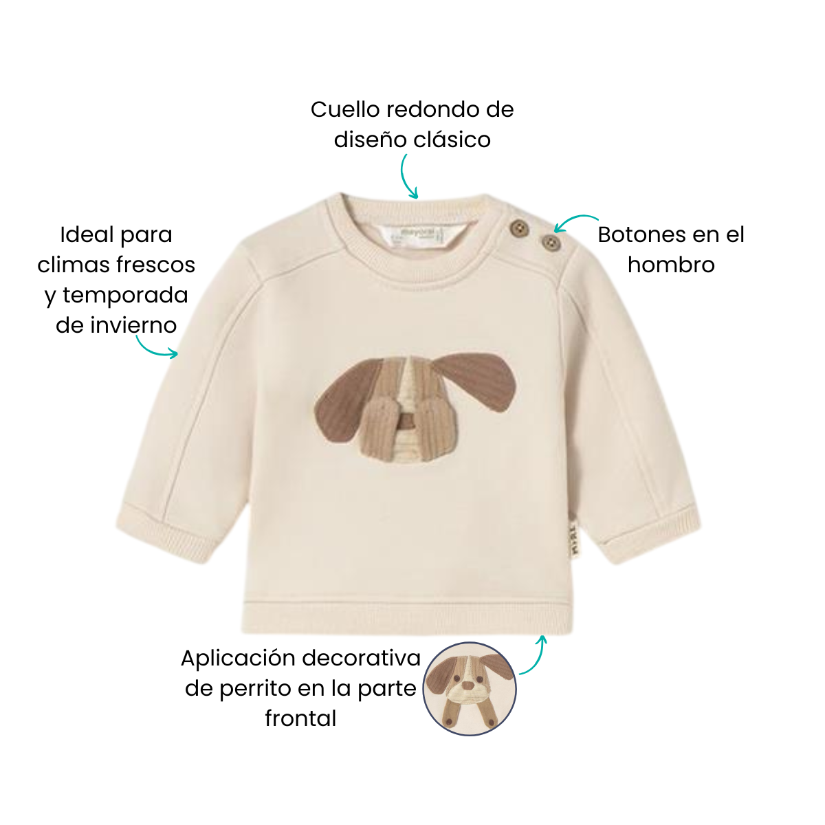 Características
