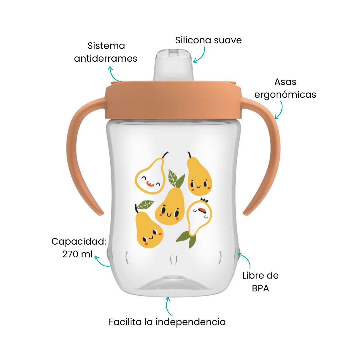 Características