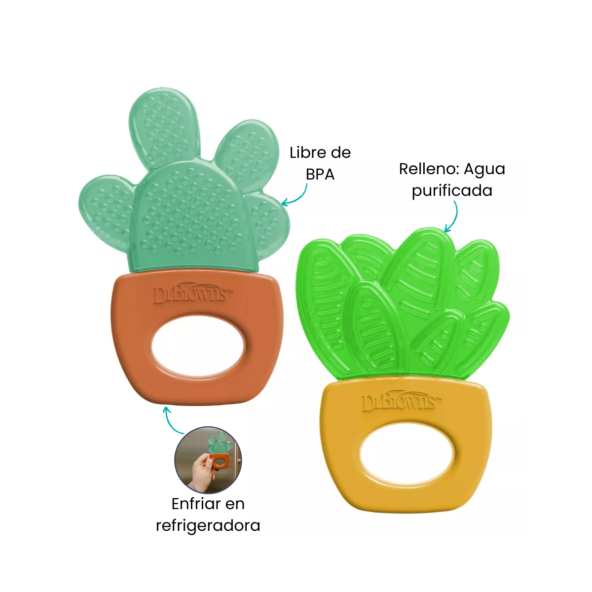 Características